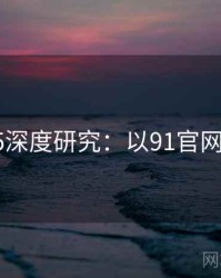 2025深度研究：以91官网为例