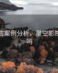 星空影院案例分析，星空影院是国企吗