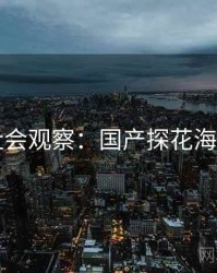 社会观察：国产探花海角