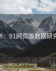 深度分析：91网页版数据研究案例71