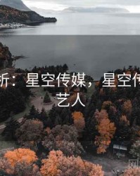 实证分析：星空传媒，星空传媒旗下艺人
