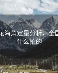 国产探花海角定量分析，全国探花用什么拍的