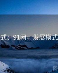 发展模式：91网，发展模式在哪里