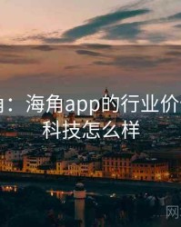 专家视角：海角app的行业价值，海角科技怎么样