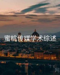 蜜桃传媒学术综述