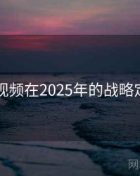 91视频在2025年的战略定位