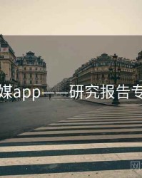 蜜桃传媒app——研究报告专题研究