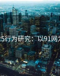 2025行为研究：以91网为例