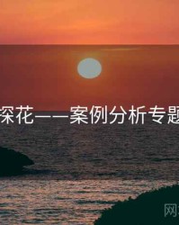 国产探花——案例分析专题研究