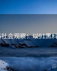 2025社会观察：以91黑料为例