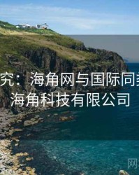 比较研究：海角网与国际同类平台，海角科技有限公司