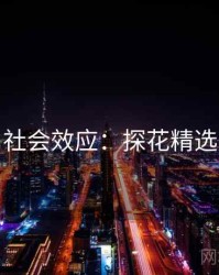 社会效应：探花精选