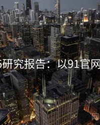 2025研究报告：以91官网为例