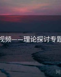 探花视频——理论探讨专题研究