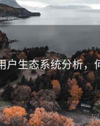 探花的用户生态系统分析，何谓探花