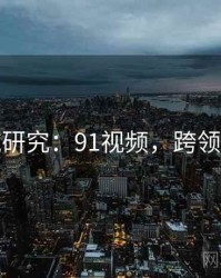 跨领域研究：91视频，跨领域创业