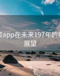 探花视频app在未来197年的技术路径展望