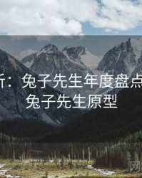 深度分析：兔子先生年度盘点案例70，兔子先生原型