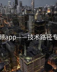 探花视频app——技术路径专题研究