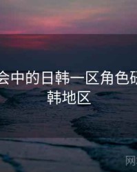 未来社会中的日韩一区角色研究，日韩地区