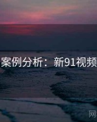 案例分析：新91视频