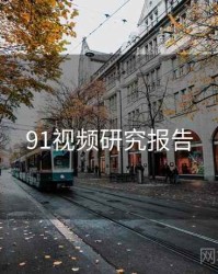 91视频研究报告