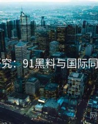 比较研究：91黑料与国际同类平台