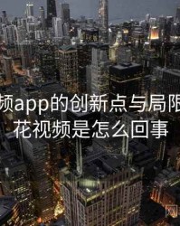 探花视频app的创新点与局限性，探花视频是怎么回事
