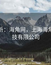 案例分析：海角网，上海海角网络科技有限公司