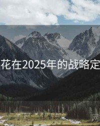 探花在2025年的战略定位