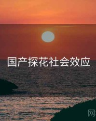 国产探花社会效应