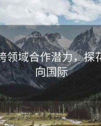 探花的跨领域合作潜力，探花创新走向国际