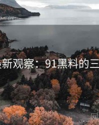 2025最新观察：91黑料的三大亮点