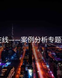 91在线——案例分析专题研究