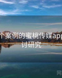 基于71个案例的蜜桃传媒app理论探讨研究