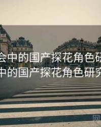 未来社会中的国产探花角色研究，未来社会中的国产探花角色研究是什么