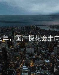 未来三年，国产探花会走向何方？