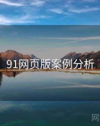 91网页版案例分析