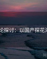 2025理论探讨：以国产探花海角为例