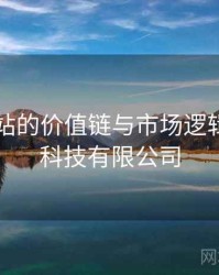 海角网站的价值链与市场逻辑，海角科技有限公司