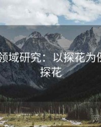 2025跨领域研究：以探花为例，何谓探花
