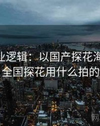 2025产业逻辑：以国产探花海角为例，全国探花用什么拍的