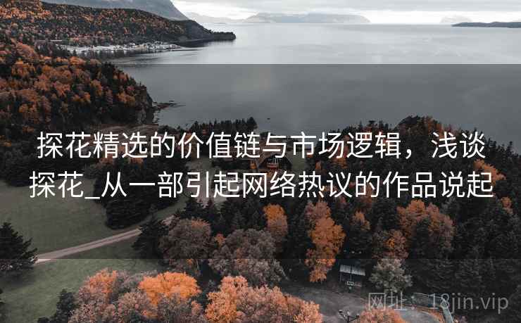 探花精选的价值链与市场逻辑，浅谈探花_从一部引起网络热议的作品说起
