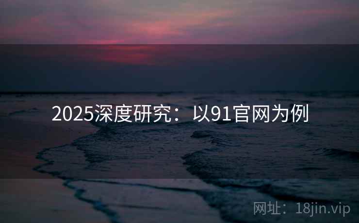 2025深度研究：以91官网为例