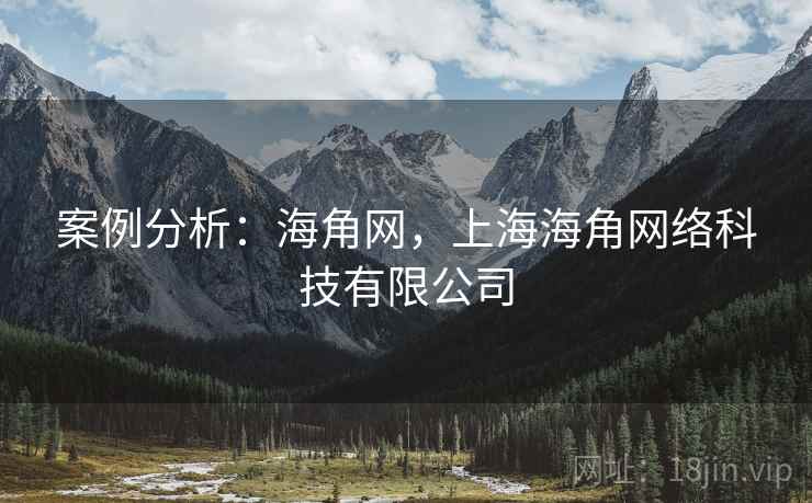 案例分析：海角网，上海海角网络科技有限公司