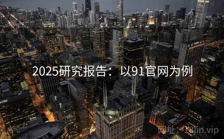 2025研究报告：以91官网为例