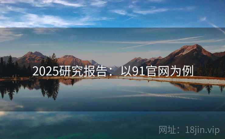 2025研究报告：以91官网为例