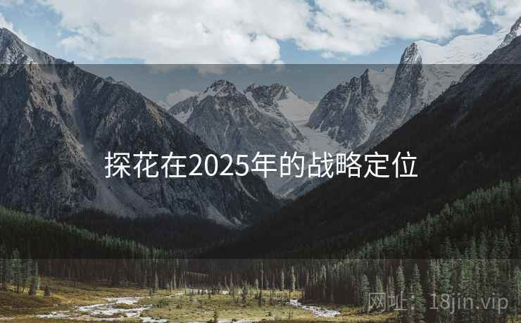 探花在2025年的战略定位