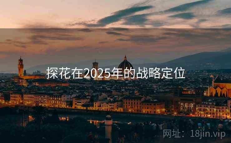 探花在2025年的战略定位