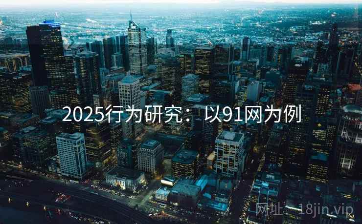 2025行为研究：以91网为例